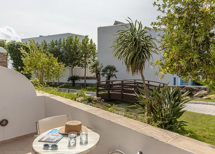 Naxos 4*