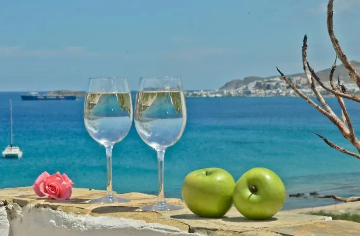 Naxos Hotel Naxos City